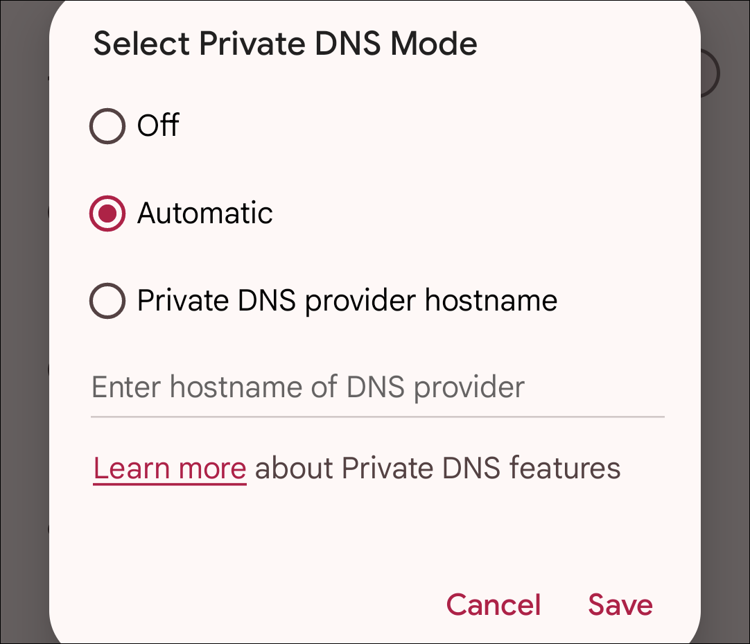 Private DNS options.
