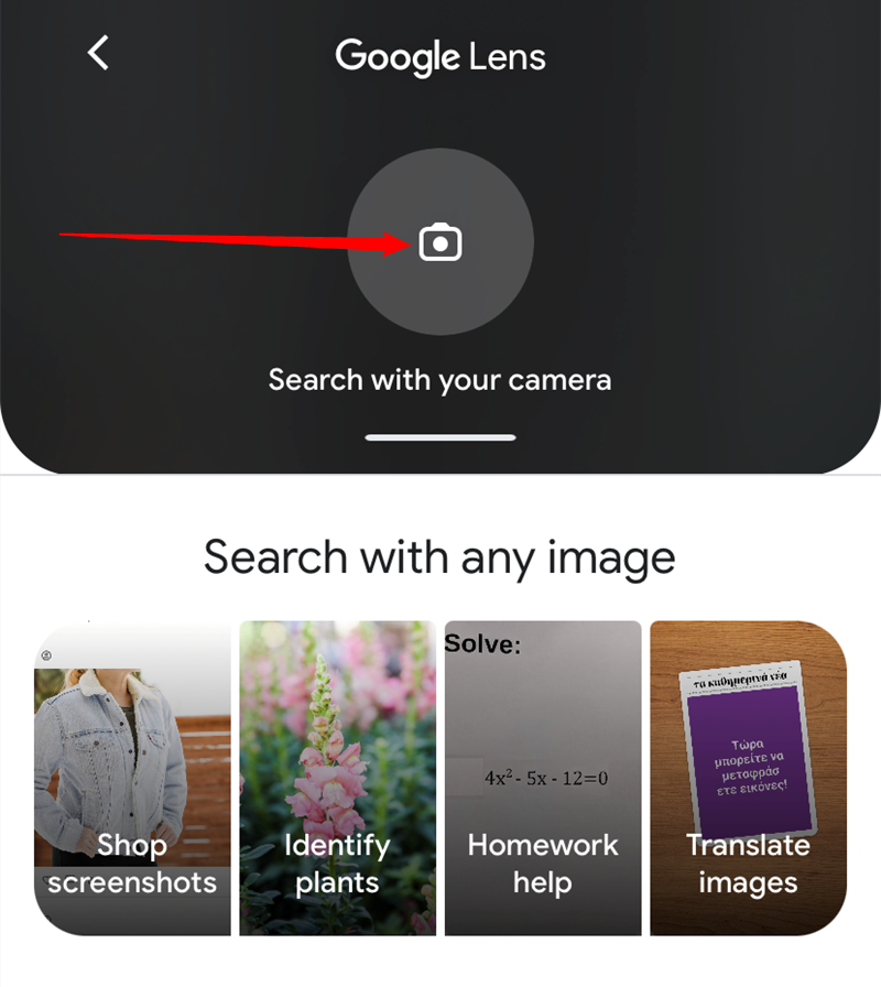 Search with Google Lens within the Google app. Tap the 